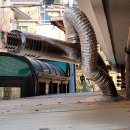 사파동205 이미지