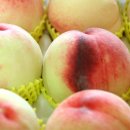 송준호농장 이미지