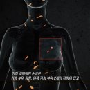 버킹검 모텔 이미지