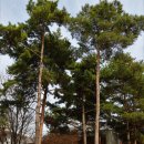 용두공원#1 이미지