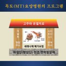 용인목토요양병원