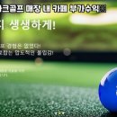 인스크린골프