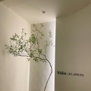 설성로 2 이미지