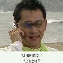 국수나무광주