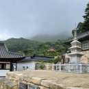 카페헤이슬 | 적당한 거리