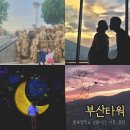 새점방 - 순창군 내적길 8 | 부산타워 입장료 야경 풍경 불꽃맵핑쇼 일몰시간 용두산공원 커플 데이트 코스 다이아몬드타워