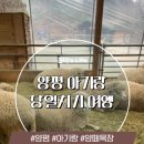 자원목장 | 양평 민물고기생태학습관 + 양떼목장 아기랑 하루 드라이브 코스