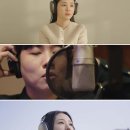 에버그린 이미지