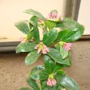 만리농장 이미지