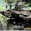 정기코스 이미지