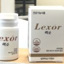 렉소 티스토리