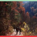 비수구미민박 | 가을 최고의 여행지, 강원도 화천 비수구미 마을 여행 후기