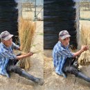 신풍리-3 이미지