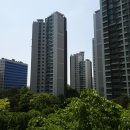 금성부동산중개사무소 이미지