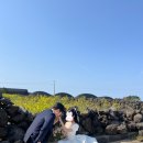 [결혼준비] 제주도 웨딩스냅 촬영후기 | 우리의봄날, 심작가, 심종섭 대표작가, 뮤토, 헤어, 메이크업...