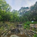 거제자연휴양림 이미지