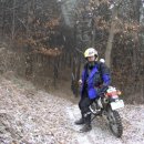 대숲속으로 이미지