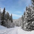 제가 뜨개질은 처음인데요 이미지