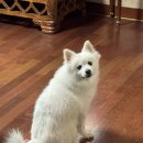 산남동물병원 이미지