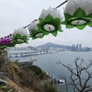 백련사 | 부산 이기대 백련사 후기, 흐린 날이라 더 기억에 남았던 바다 절