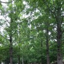 지행역 하부 산책로1 이미지