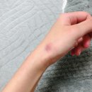 구월동 주짓수(송도건2지관) | 주짓수 한 달 후기 그리고 일상