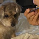 충청북도교육도서관 충청북도교육도서관 이미지