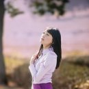 하연 Daum카페