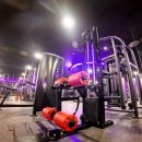 VGYM(브이짐) | 🏋️‍♂️ 국내 최대 규모 헬스장 방문기 - 김포 브이짐 2000평 머신 박물관 솔직 후기 (짐로드 프로젝트)