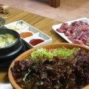 본숯불꼼장어시대