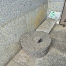 옹심이네칼국수