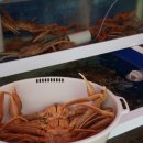 안동마트 이미지