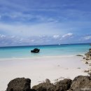 관절천국 이미지