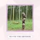 제주 아기랑 가기 좋은 절물자연휴양림 산책로 여름제주여행 즐기기