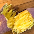 백억농장 이미지