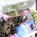 목화소아청소년과의원 이미지