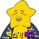별빛콩