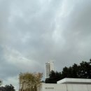 결혼 기념일 강릉여행 5성급 씨마크호텔 내돈내산 호캉스 후기(온돌방).