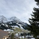 부흥세탁 | [🇨🇭스위스여행 #4] 스위스 아델보덴 호텔 더 캠브리안(The cambrian) 객실 및 스파후기