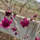 병태농장 이미지