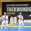 호반태권도 이미지