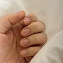 장미관문 | [우리는 결혼준비중 #5] 대망의 두근두근 웨딩사진 촬영기 (아벨바이케이, 어포드테일러, 헤이허니...