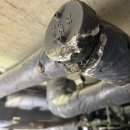 백송화장실 이미지