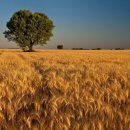 풍경힐링 이미지