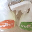디엔디클린