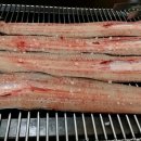 풍천장어 이미지