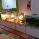 우현유치원 이미지