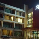 스와브호텔 이미지