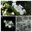 위례둘레길 이미지