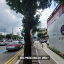 상무지구보행자도로 이미지
